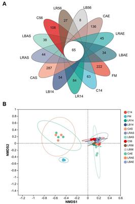 Fermentation quality, aerobic stability, and microbiome structure and function of Caragana korshinskii silage inoculated with/without Lactobacillus rhamnosus or Lactobacillus buchneri